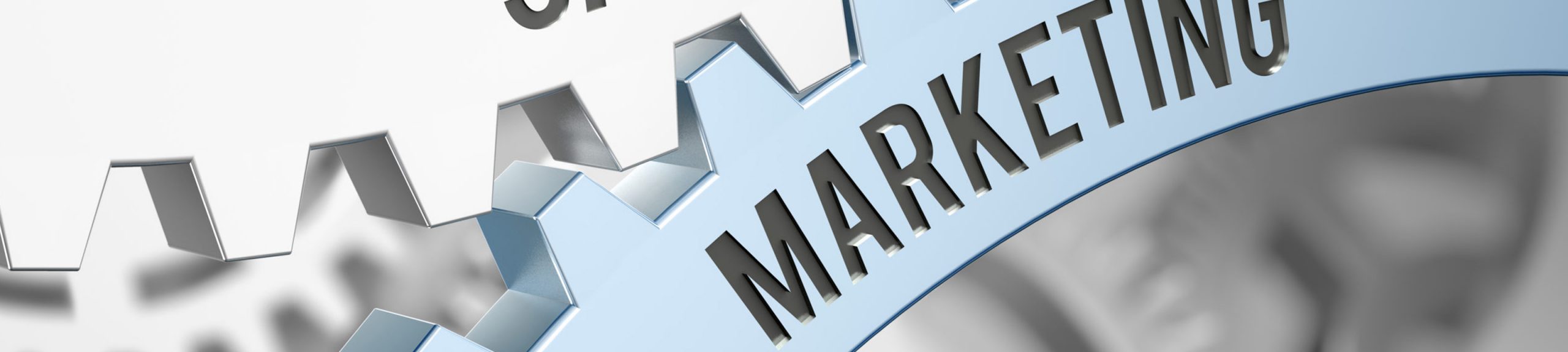 Business Sales and Marketing Management | Best IT Support Company